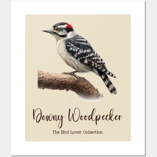 Downy Woodpecker - The Bird Lover Collection Posters and Art